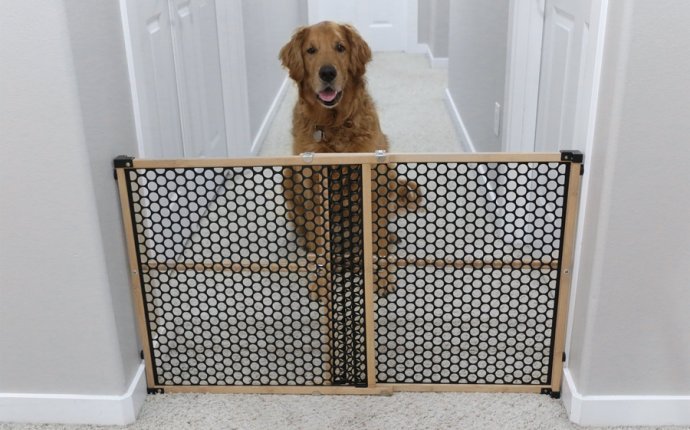 The Best Pet Gates of 2017: Dogs & Cats - Your Best Digs