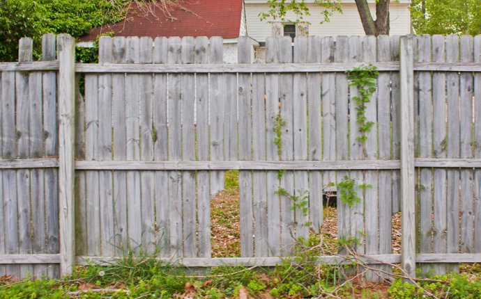 Wood fencing - when to repair or replace