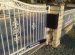 Swing gate opener installation